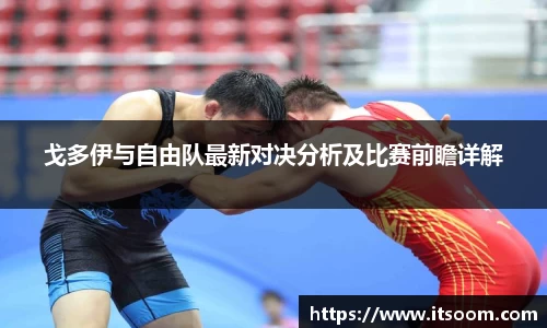 戈多伊与自由队最新对决分析及比赛前瞻详解
